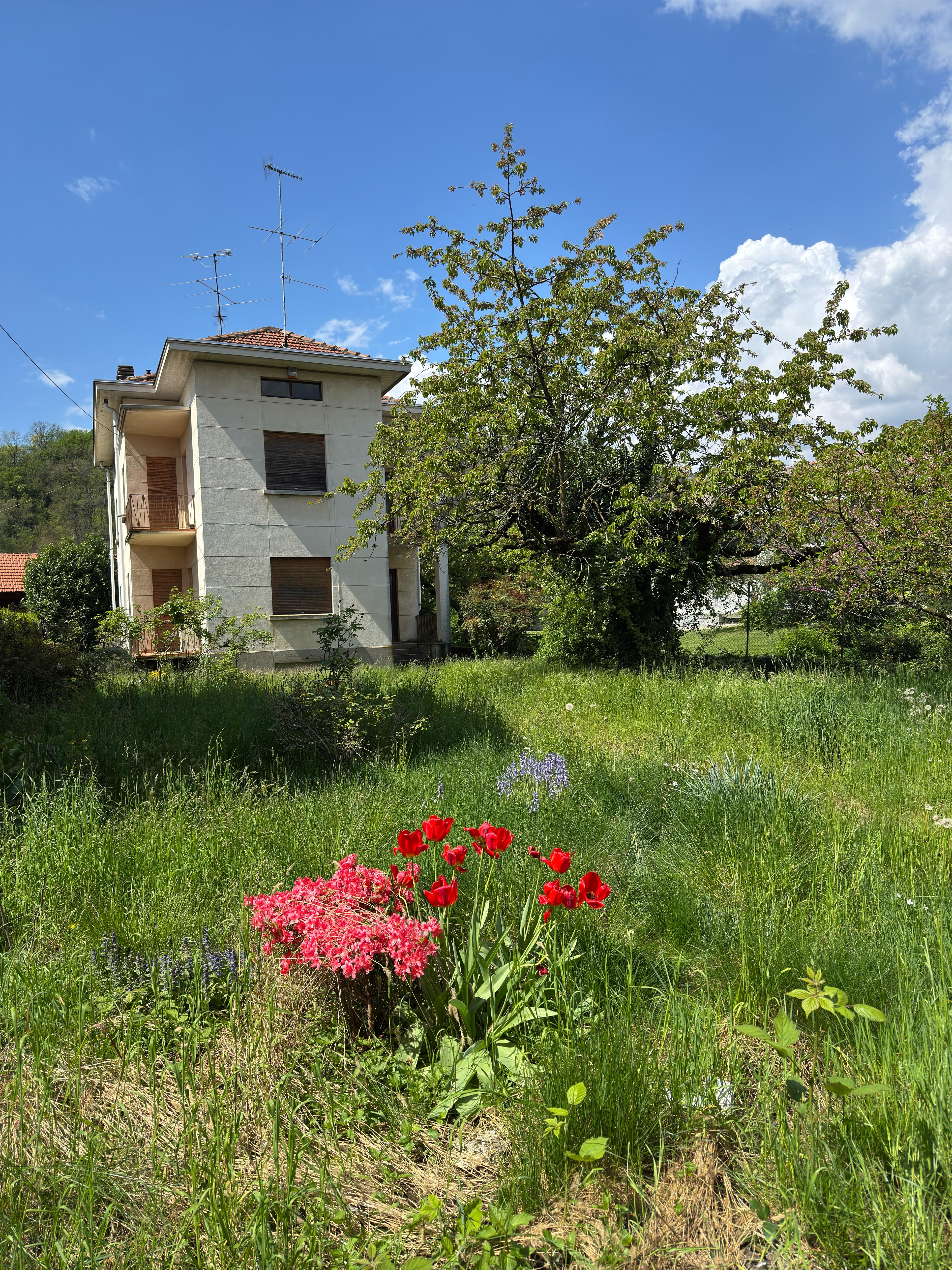 Casa indipendente bifamiliare con giardino a Biella